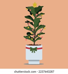 ficus lyrata in white pot with Christmas decorations and lights around