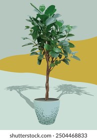 Ficus microcarpa, also known as Chinese banyan, Malayan banyan, Indian laurel, curtain fig, or gajumaru, is a tree in the fig family Moraceae. Has glassy rubbery leaves and stately growth.