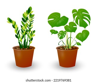Planta de Ficus y Monstera en olla aislada en fondo blanco. Planta decorativa para el interior o la oficina. Flor de habitación. Ilustración vectorial.