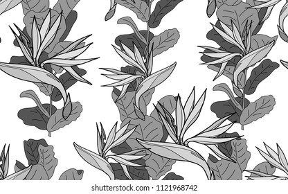 Ficus and paradise bird flower. Palm leaves and exotic flowers composition. Vector illustration. Botanical seamless background. Digital nature art.