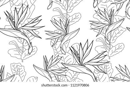 Ficus and paradise bird flowers. Palm leaves and exotic flowers composition. Vector illustration. Botanical seamless background. Digital nature art.