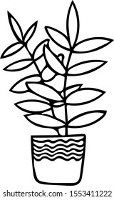 ficus, pipal or rubber plant in pot. element in hand drawn style. simple line Scandinavian doodle.