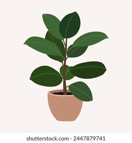 Ficus plant in flower pot. Houseplant for cozy home decoration. Hand drawn vector illustration isolated on white background. Modern flat cartoon style.