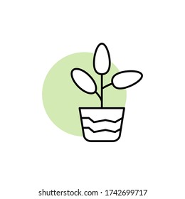 Ficus, icono de planta. Línea simple, contorno de elementos vectores de flora con círculo verde para ui y ux, sitio web o aplicación móvil