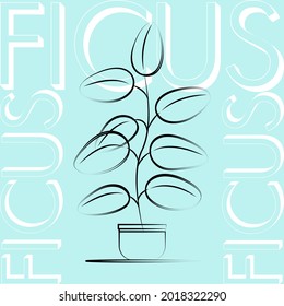 Ficus. Plant in a tub. Home gardening. Outline drawing. Blue background. Vector