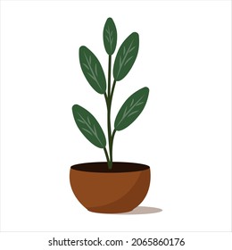 Ficus in a round flower pot.
Plant for home and office. Flat style isolated on white background.