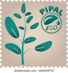 ficus rubber plant logo plant brand