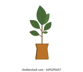 Ficus tree in a pot. Interior, home comfort. Vecton icon.