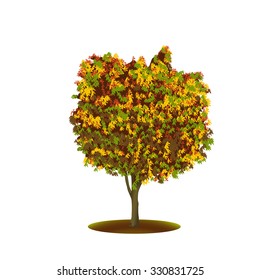 ficus tree with yellow leaves on a white background