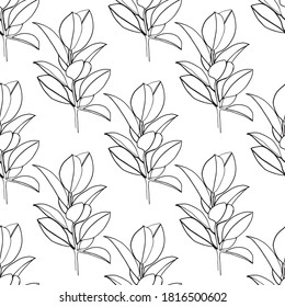 Ficus tropical seamless pattern.  Line art drawing in black and white. - Vector illustration
