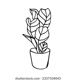 The Fiddle Leaf Fig. Doodle illustration of a potted indoor plant. Line art. Design element