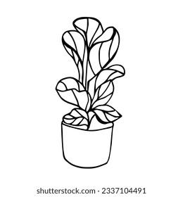 The Fiddle Leaf Fig. Doodle illustration of a potted indoor plant. Line art. Design element. 