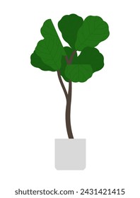 The Fiddle Leaf Fig. Ficus lyrata - a high potted home plant with large, green leaves. Decorative tree for home, interior, office. Vector illustration in minimalist style