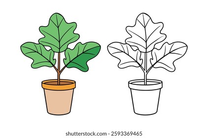 fiddle leaf fig houseplant illustration