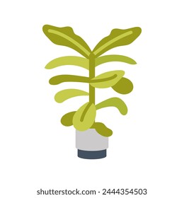 Fiddle Leaf Fig icon in vector. Logotype