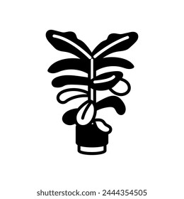 Fiddle Leaf Fig icon in vector. Logotype