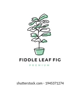 fiddle leaf fig logo vector icon illustration