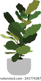 Fiddle Leaf Fig Plant Flat Vector Illustration