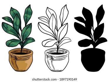 Fiddle leaf fig tree. Home plant hand drawn vector illustration set. Colored, outline and silhouette drawings isolated on white. Botanical sketches elements for design, print, decor, card, sticker etc