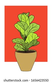 Fiddle leaf fig tree in a pot. Home plants, gardening. Vector stock illustration.