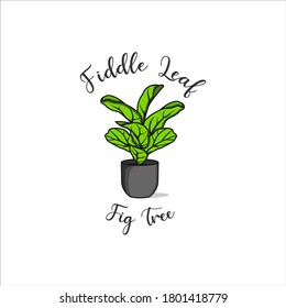 fiddle leaf fig tree vector, big leaf plant vector