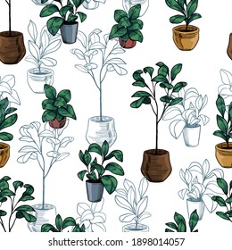 Fiddle leaf fig trees. Hand drawn vector seamless pattern. Colored botanical background. Wallpaper with houseplants vintage drawings. Abstract design for prints, card, decor, wrap, fabric, textile.