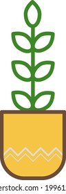 Fiddle leaf figs plant in pot, illustration, on a white background.