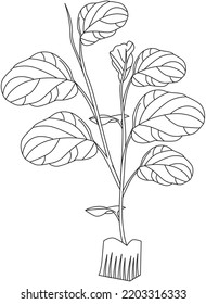 fiddle leaf vector icon black and white
