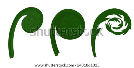 fiddlehead. Young fern pods. Vector stock illustration. Food. Plant. Escapes. Isolated on a white background.