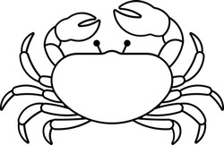 Fiddler Crab crab lobster marine fish Outline
