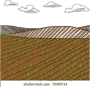 Field
