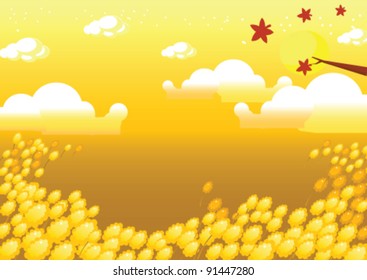 Field background