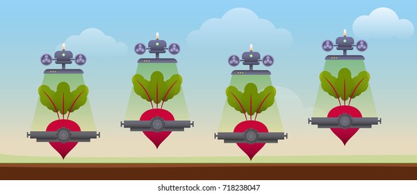 Field with big beetroot. Creative inspiration concept with futuristic technology mechanical device and natural organic products. Vector illustration.