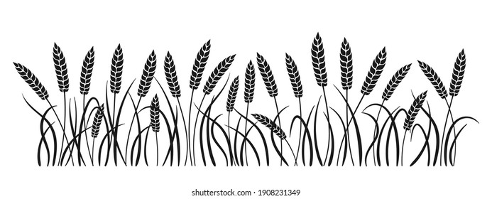 Field black silhouette wheat spikelets. Gold ears ripe, agricultural symbol flour production. Design background organic farm elements, organic vegetarian bread packaging beer label vector