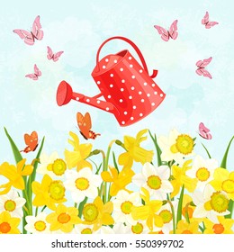 field of blooming daffodils cute a can watering for your design