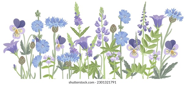 flores de campo azul, vectores dibujando plantas de flores silvestres en fondo blanco, borde floral, ilustración botánica dibujada a mano