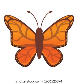 Field butterfly icon. Cartoon of field butterfly vector icon for web design isolated on white background