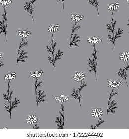 Field camomiles on a gray background. Decorative design for textiles, packaging. Template for your ideas. Vector illustration.