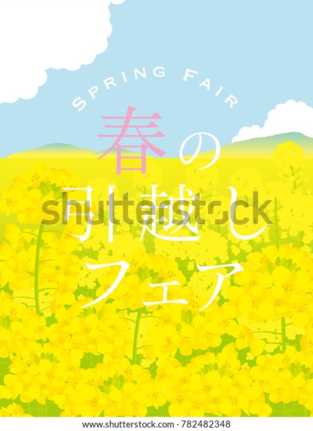 Field Canola Flower Illustrations Japanese Translation Stock