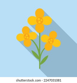 Field canola icon flat vector. Oil plant. Flower rape