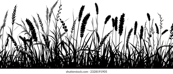 Field with cereals, grass and wild herbs. Vector isolated silhouette of grain plants meadow.  Horizontal border.