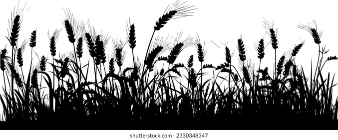 Field with cereals, grass and wild herbs. Vector isolated silhouette of grain plants meadow.  Horizontal border.