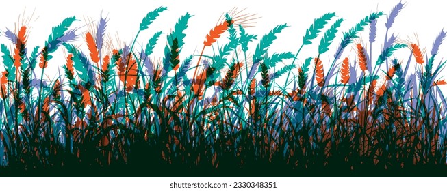 Field with cereals, grass and wild herbs. Colorful vector isolated silhouette of grain plants meadow.  Horizontal border.