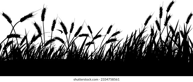 Field with cereals, grass and wild herbs. Vector isolated silhouette of grain plants meadow.  Horizontal border.