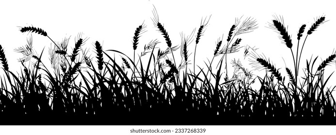 Field with cereals, grass and wild herbs. Vector isolated silhouette of grain plants meadow.  Horizontal border.