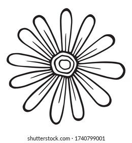 Icono de flor de camomila de campo. Ilustración dibujada a mano del icono del vector de flores de camomila de campo para el diseño web