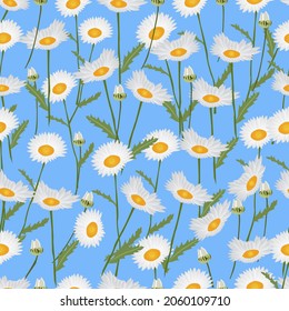 Field of chamomile seamless pattern on is a medium light shade of cyan-blue background. Trendy floral texture for print, fashion, textile, fabric, decoration, wrapping. 