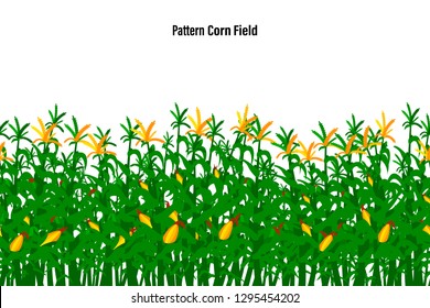 Field of corn on a white background isolated. Pattern Vector illustration.