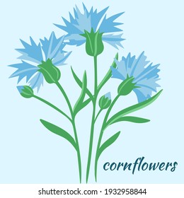 Feldblumen, Vektorgrafik. Kleine blaue Blumen mit grünen Blättern. Ein Blumenstrauß.