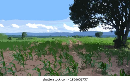 The field in countryside on clear sky background (Vector illustration) , landscape vector